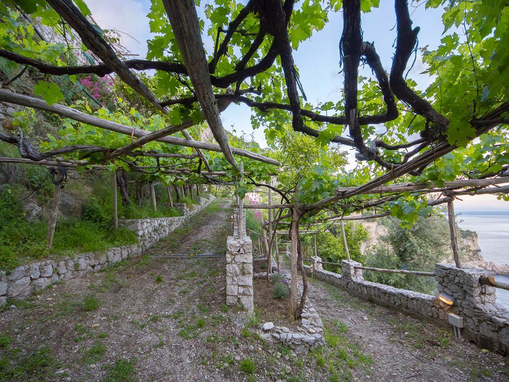 Cannaverde - Amalfi Coast Camp Villa Maiori Ngoại thất bức ảnh